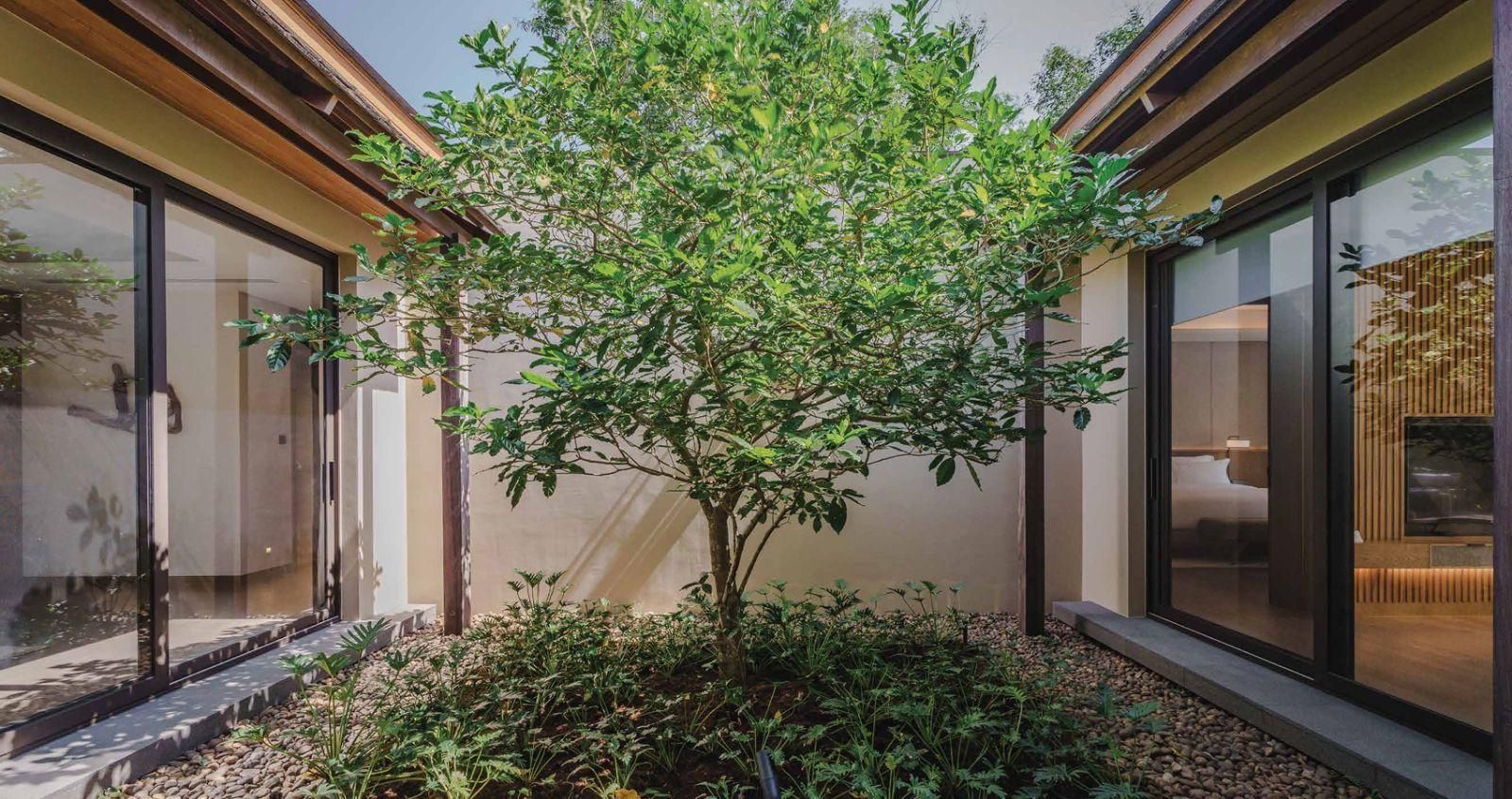 Interior view of 3 Bedroom Lakefront Vana Villa for Sale at Tri Vananda - Phuket’s Landmark Wellness Community