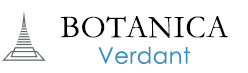Botanica Verdant - Thalang Villas Prices and Floor Plans project logo