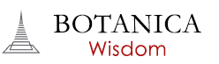 Botanica Wisdom - Thalang Villas Unit Availability and Developer Prices project logo