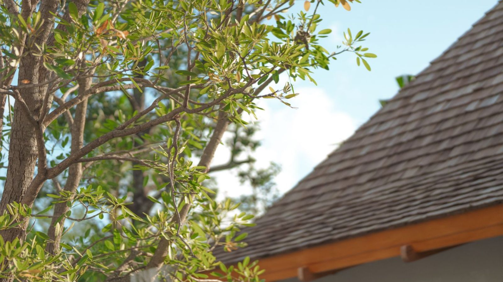 Anchan Sunscape - Large-scale Luxury Villa Development - Photo 6