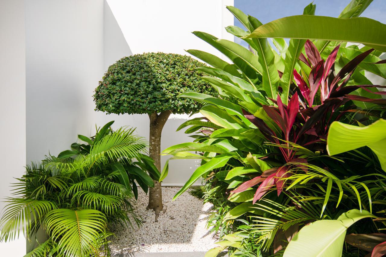 Interior view of 3 Bedroom Private Pool Villa for Sale in Thalang
