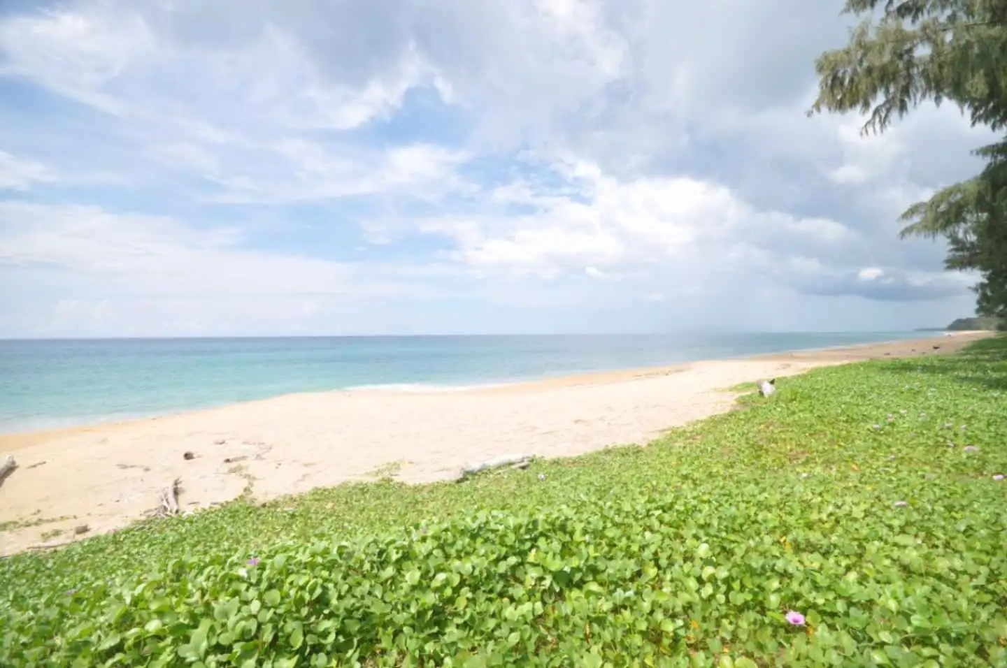 Exterior view of Absolute Beachfront Pool Villa For Sale In Maikhao Beach