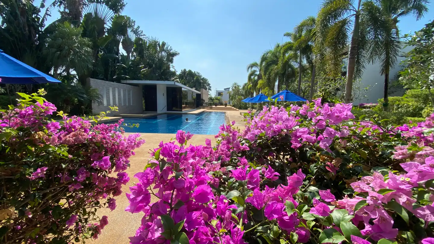 Interior view of 3 Bedroom Luxurious Apartment for Sale in Lotus Gardens, Layan