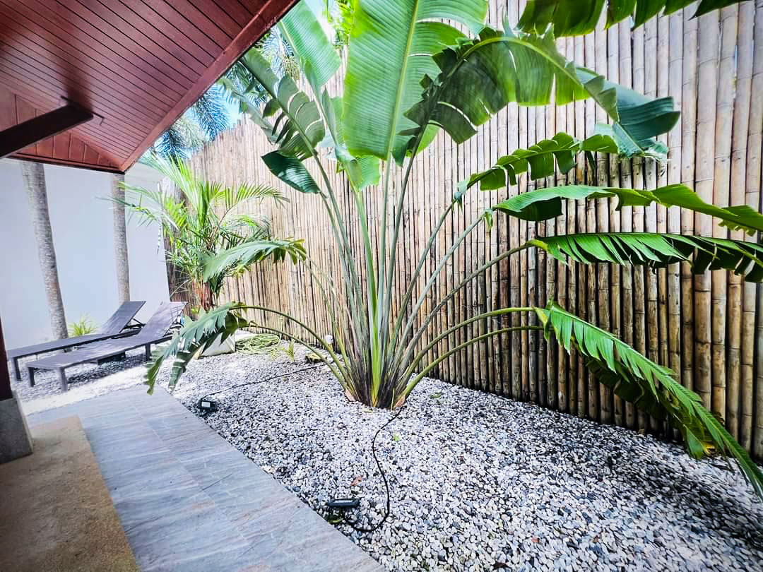 Standalone 3-Bedroom Pool Villa for Sale in Pasak, Cherngtalay, Phuket - Photo 6
