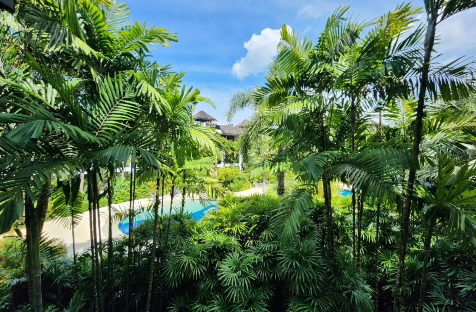 Interior view of 2 Bedroom Spacious Apartment for Sale in Bangtao Beach Gardens