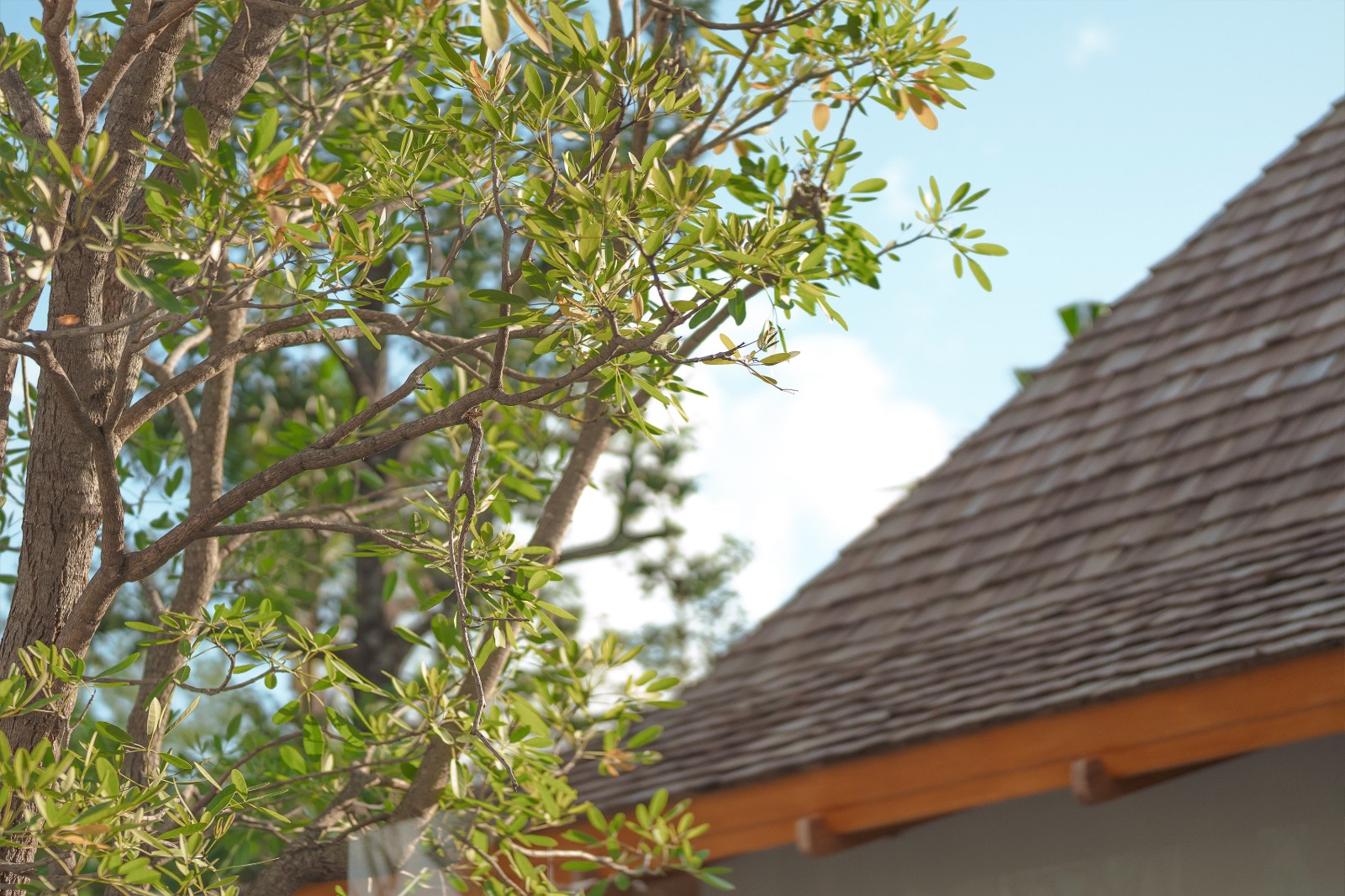 Interior view of 4 Bedroom Private Pool Villa with Large Land Plot for Sale at Anchan Burgundy